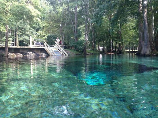 Is Ginnie Springs Open