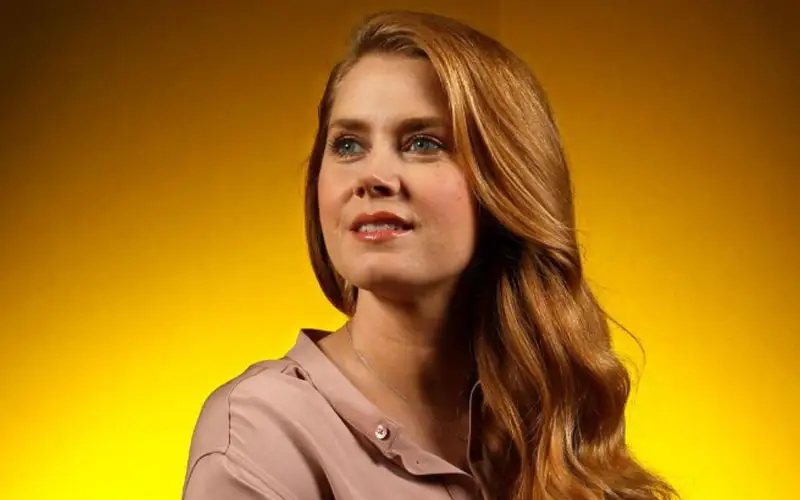 Followers of Amy Adams Wondered